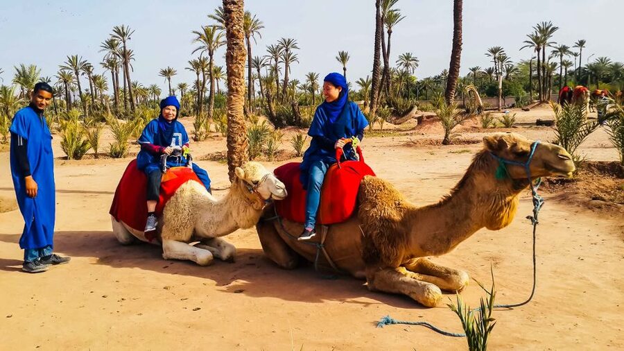 Marrakech: Camel Ride in the Oasis Palmeraie - The people who make the outing work