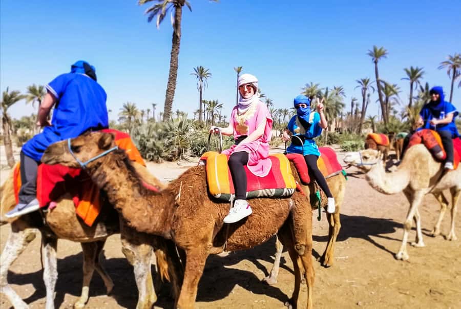 Marrakech: Camel Ride in the Oasis Palmeraie - Who should book this Marrakech outing