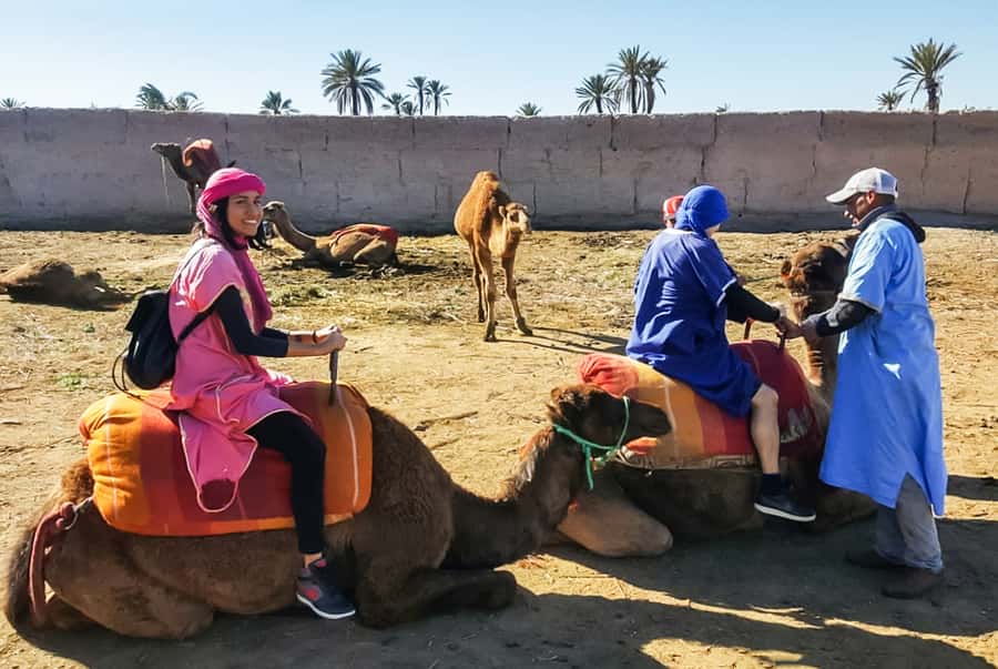 Marrakech: Camel Ride in the Oasis Palmeraie - Booking details that matter before you go