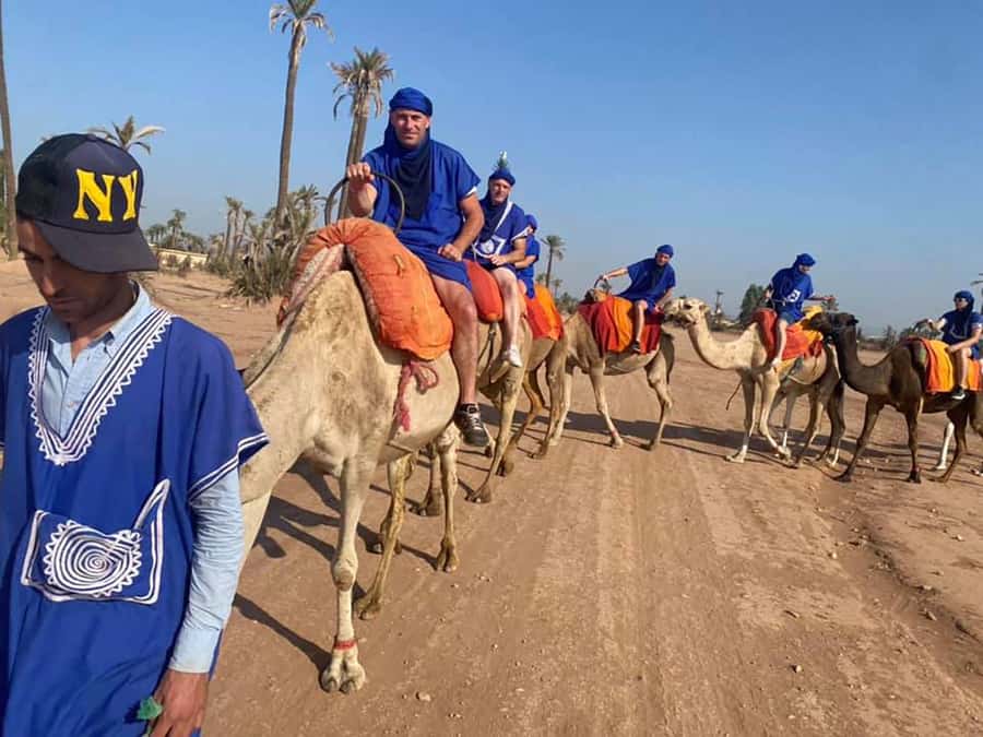 Marrakech Camel Ride in the Palmeraie Palm Grove - Riding camels among Marrakech’s palm trees
