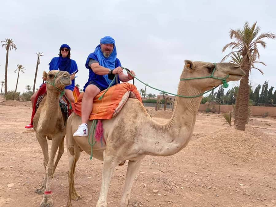 Marrakech Camel Ride in the Palmeraie Palm Grove - Why the guides matter on a first camel ride