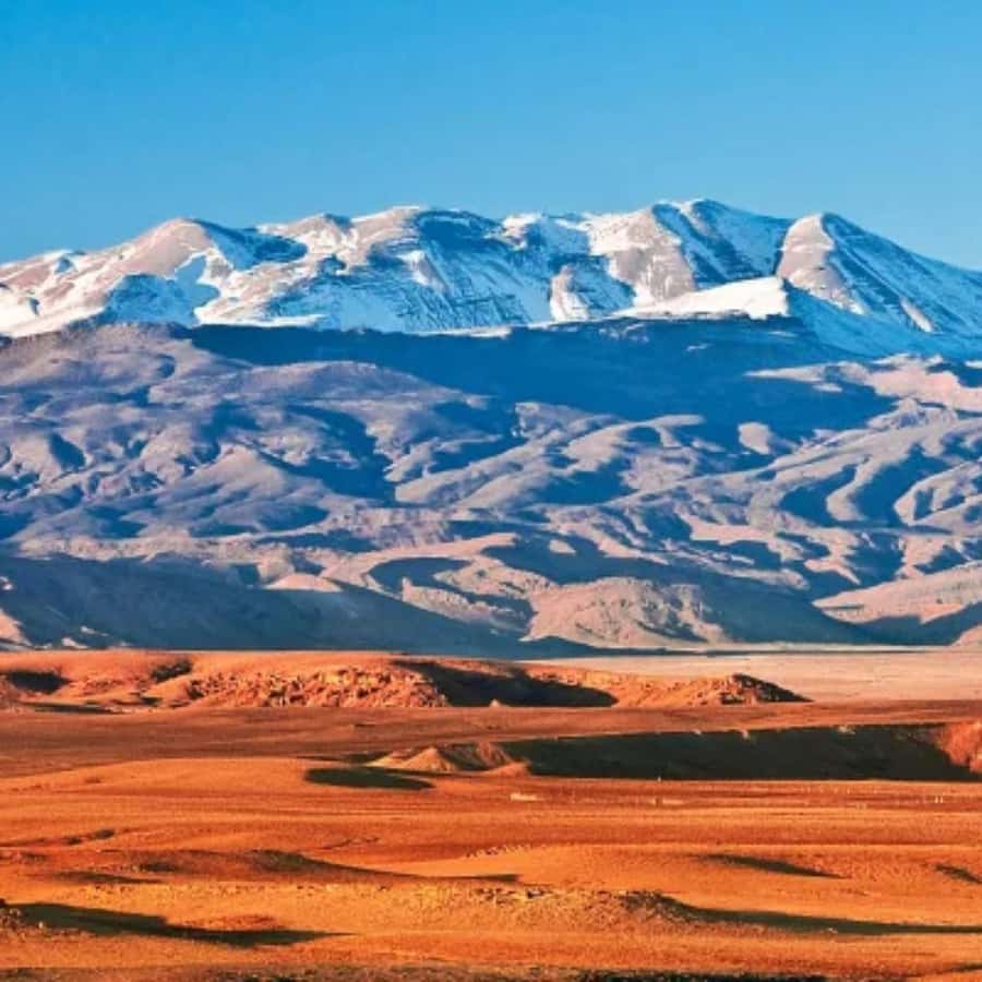 Marrakech: Camel Ride & Sunset Dinner with Fire Show - How the guides shape the experience