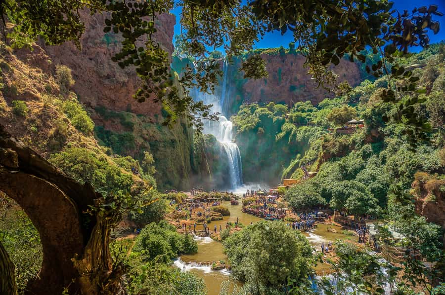 Marrakech: Day Tour to Ouzoud Waterfalls with Boat Trip - Macaque monkeys and responsible viewing