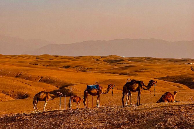 Marrakech Day Trip: Agafay Desert, Atlas Mountains and Camel Ride - Walking from Imlil toward Armed