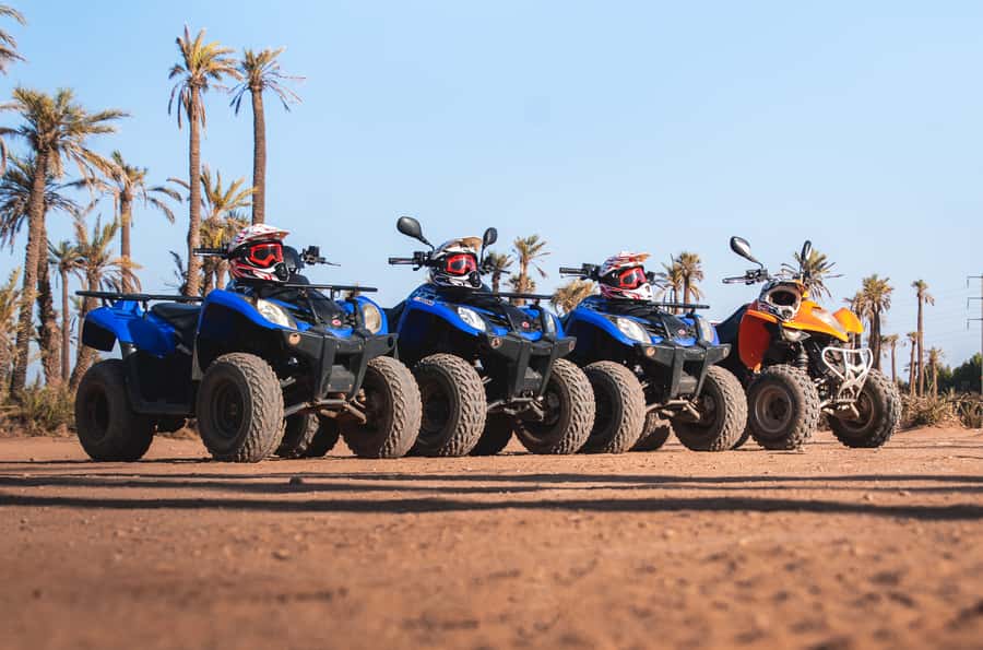 Marrakech: Desert and Palm Grove Quad Tour with Tea - Is the optional camel ride worth adding?