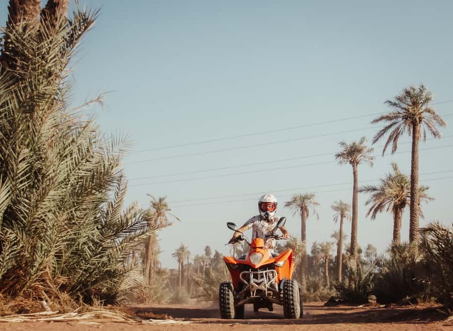 Marrakech: Desert and Palm Grove Quad Tour with Tea - What the $22 price really covers