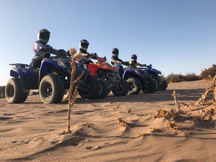 Marrakech: Desert and Palm Grove Sunset Quad Tour with Tea - What to wear and pack