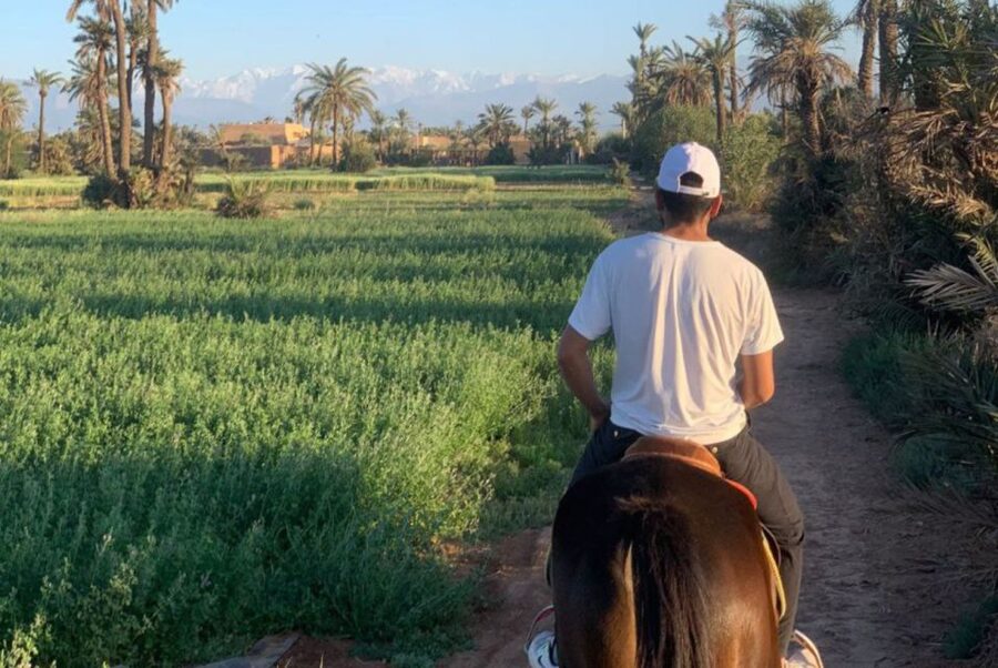 Marrakech: Desert and Palmeraie Horse Riding Tour & Transfer - Should you book this Marrakech horse ride?