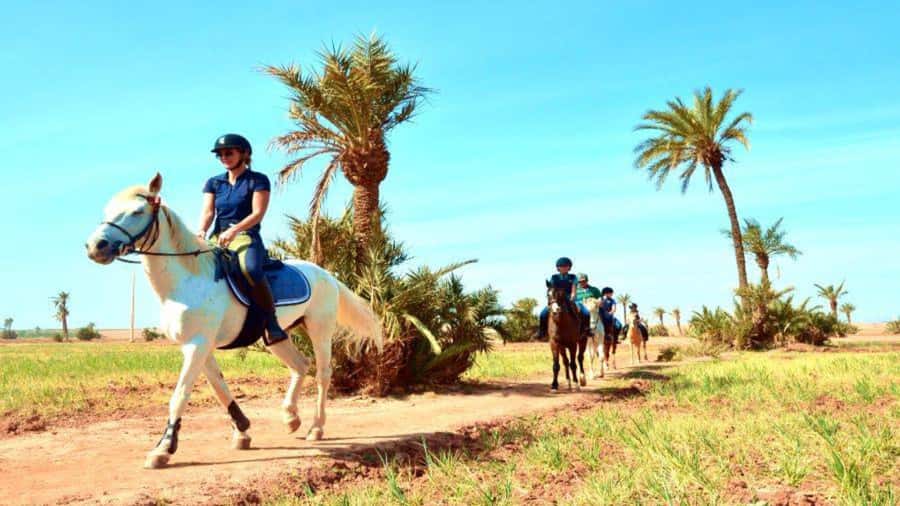 Marrakech: Desert and Palmeraie Horse Riding Tour & Transfer - Leaving Marrakech for the palm oasis
