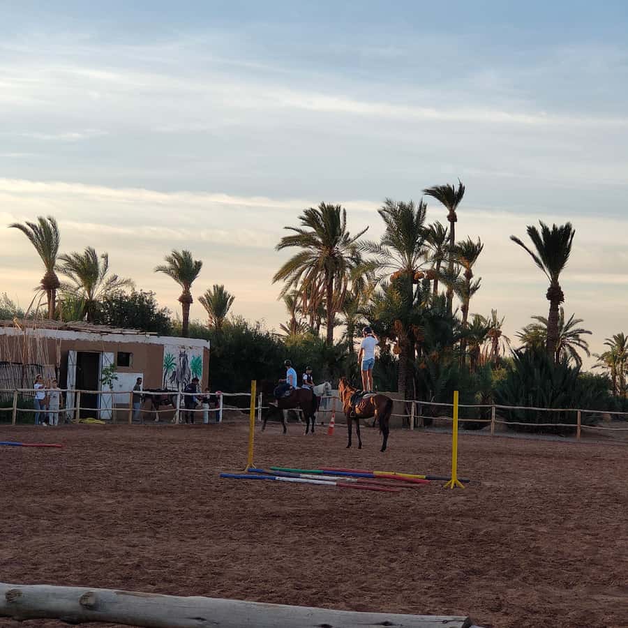Marrakech: Desert and Palmeraie Horse Riding Tour & Transfer - What the guide does for beginners and riders