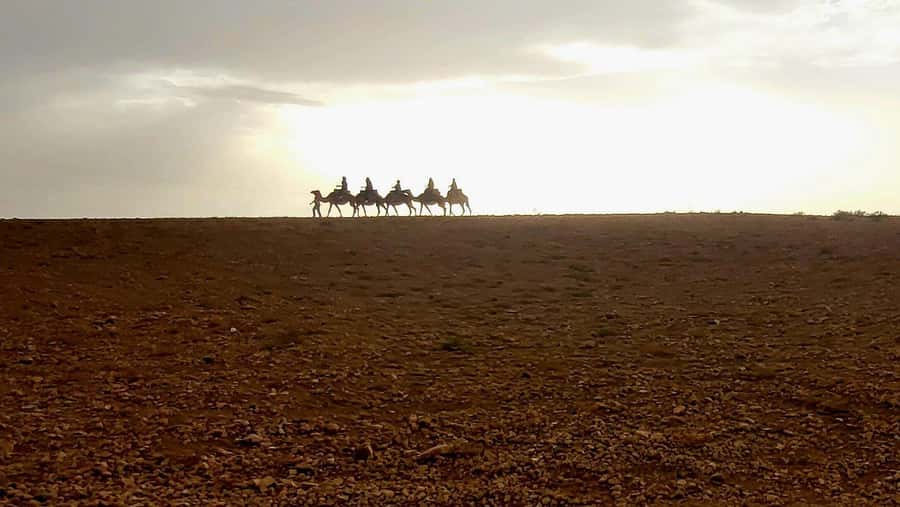 Marrakech: Desert Quad Bike Tour with Tea & Optional Dinner - Should you book the Agafay quad bike tour?