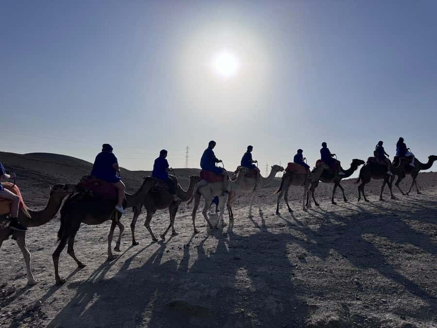 Marrakech: Desert Quad Bike Tour with Tea & Optional Dinner - The tea stop and desert camp
