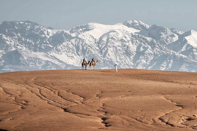 Marrakech Desert Tour & Sunset Camel Ride with Dinner Show - The argan oil stop and the route south