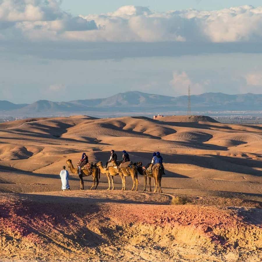 Marrakech: Desert Tour with Dinner, Show and Camel Ride - Key points to know before booking