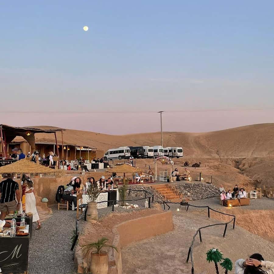 Marrakech: Desert Tour with Dinner, Show and Camel Ride - Who will enjoy this outing most