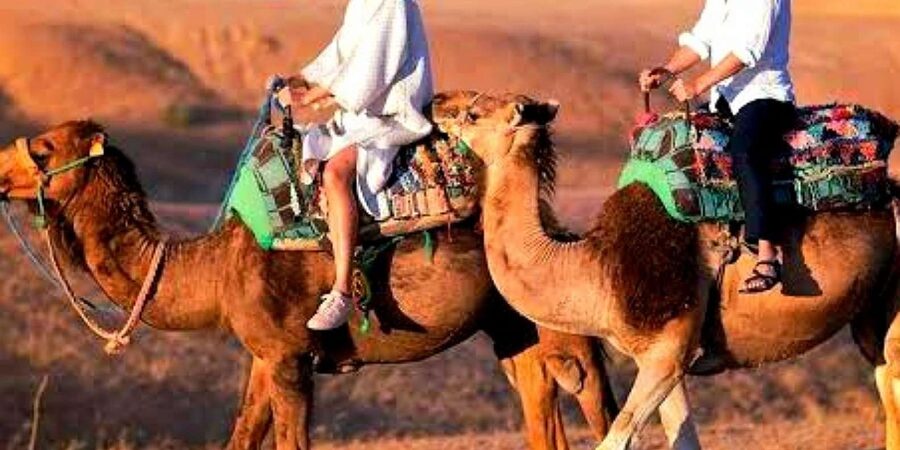 Marrakech: Dinner and Quad bike Desert Agafay Stars & show - What to pack and what to wear