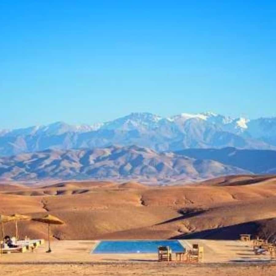 Marrakech: Dinner and Quad bike Desert Agafay Stars & show - Quad biking across the stony desert
