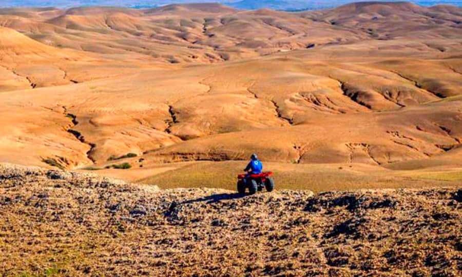 Marrakech: Dinner and Quad bike Desert Agafay Stars & show - Is $14 really good value?