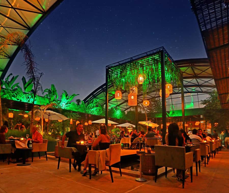 Marrakech : Dinner Show at Nouba Restaurant - A dinner that quickly becomes a stage show