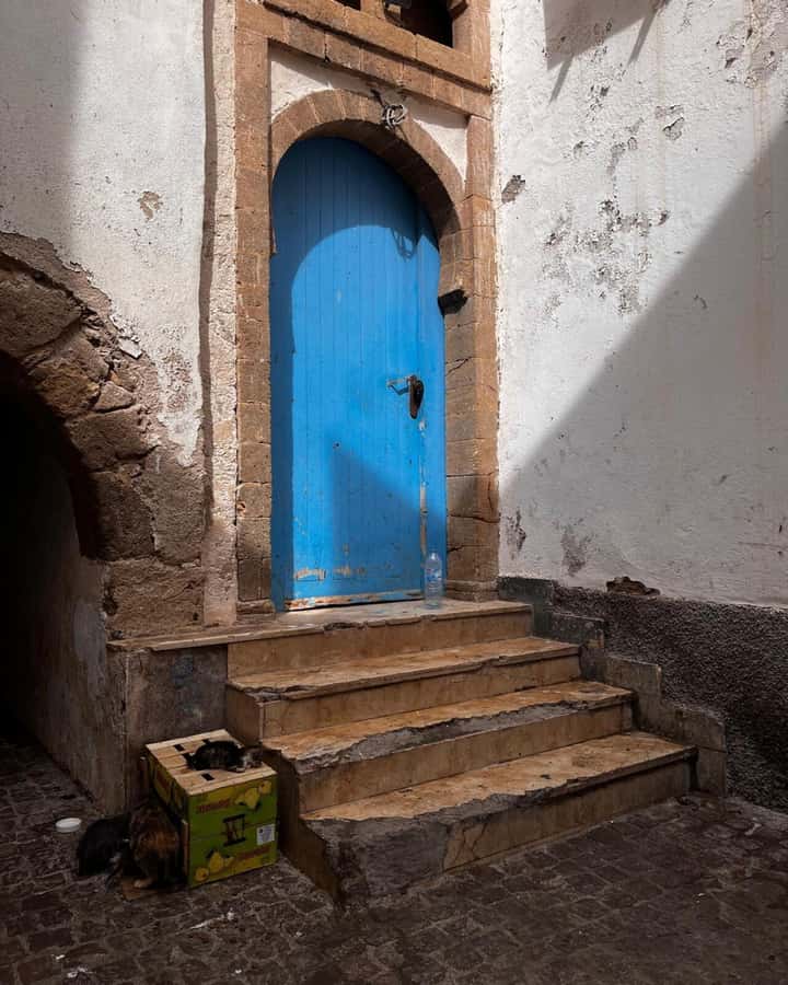 Marrakech: Essaouira Day Trip with Transfers and Co-op Visit - Goats, argan trees, and the reality of the photo stop