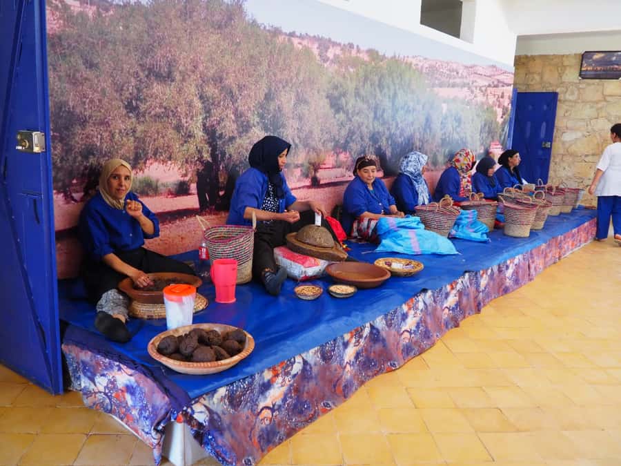 Marrakech: Essaouira Day Trip with Transfers and Co-op Visit - What the $14 price really gives you