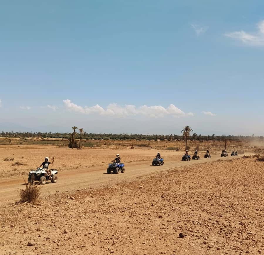 Marrakech:excursion quad in Oasis palm & jbilat desert,tea - What the three-hour outing is really like