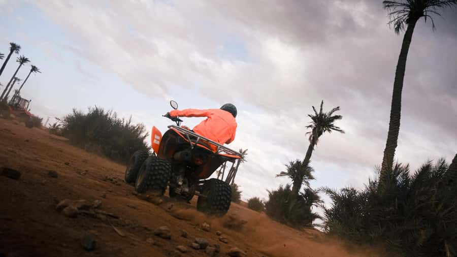 Marrakech:excursion quad in Oasis palm & jbilat desert,tea - How much value do you get for $14?