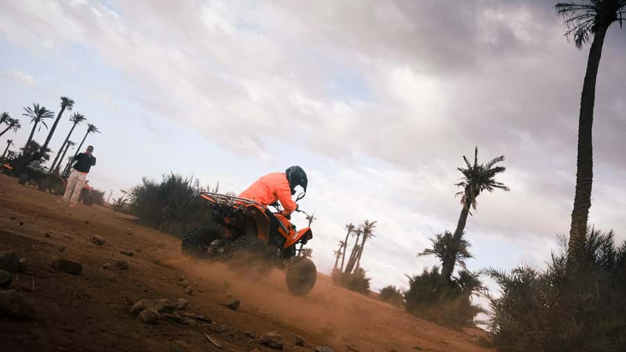 Marrakech:excursion quad in Oasis palm & jbilat desert,tea - Who should book this Palmeraie quad trip?