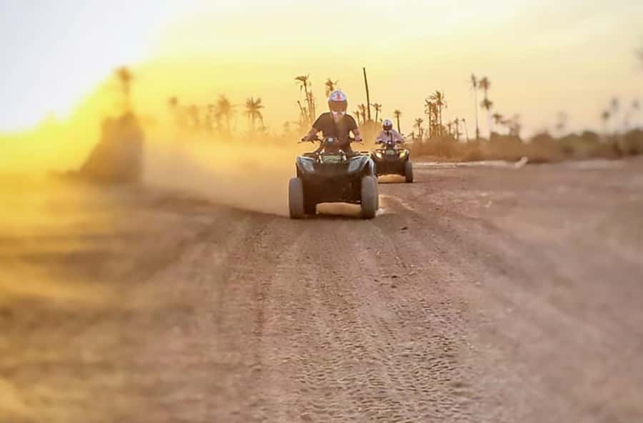 Marrakech, explore the palm grove desert by quad bike - Riding through palms, dust, and open tracks