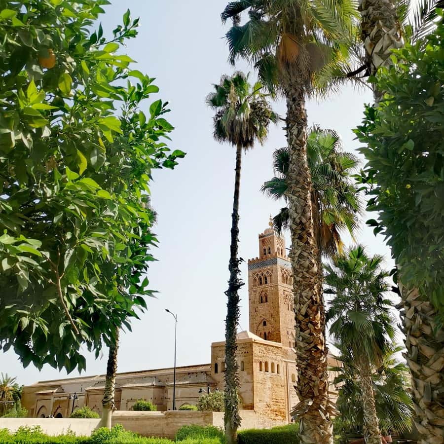 Marrakech: Guided Bike Tour with a local Guide - Who will enjoy this ride most