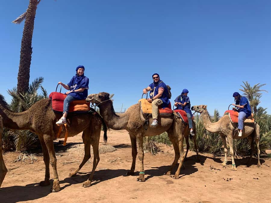 Marrakech: Guided Quad Bike and Camel Ride Tour with Tea - What this three-hour Marrakech outing is really like