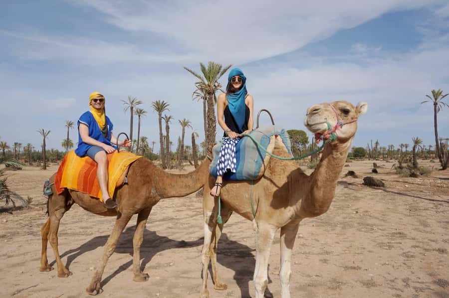Marrakech: Half-Day Camel Ride in Palm Grove - Mounting a dromedary and settling into the rhythm