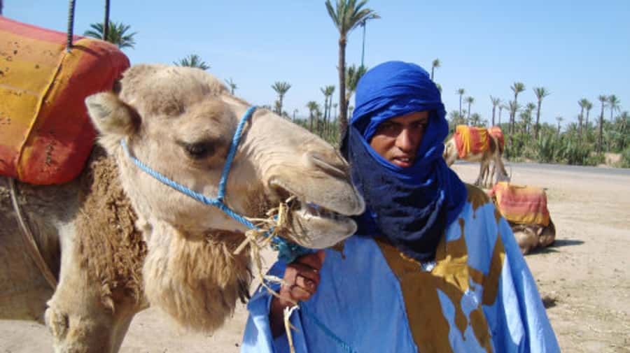 Marrakech: Half-Day Camel Ride in Palm Grove - The 30-minute drive out of Marrakech
