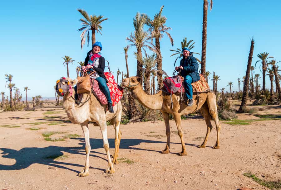 Marrakech: Half-Day Desert Quad Tour with Camel Ride - Key points to know before booking