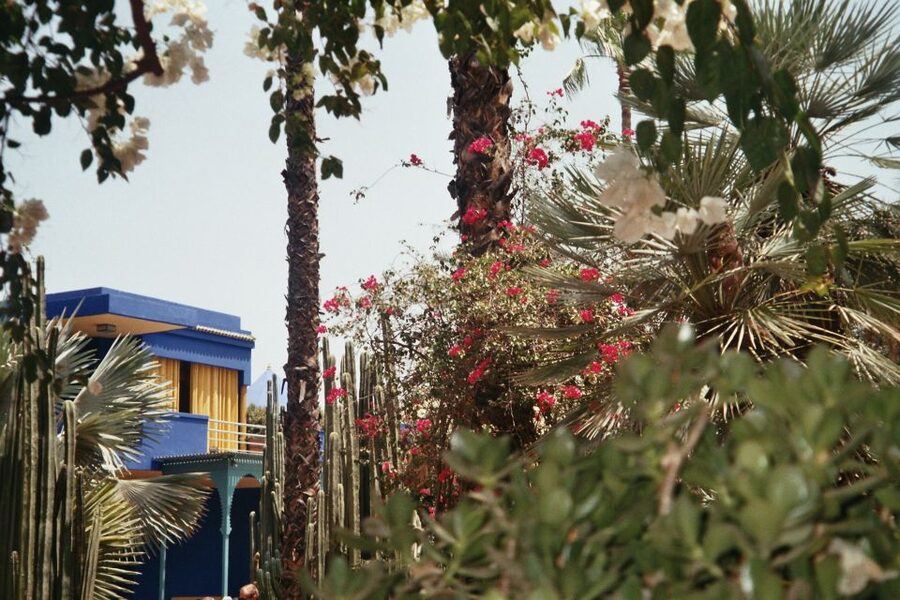 Marrakech: Majorelle Garden Entry Tickets Online - Why the Majorelle Garden feels different from Marrakech