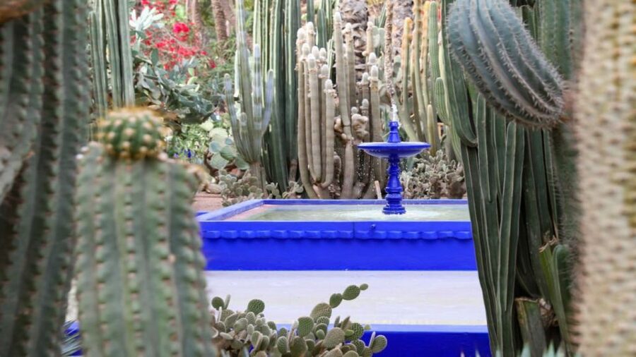 Marrakech: Majorelle Garden Entry Tickets Online - The fountains, birds, and quieter corners