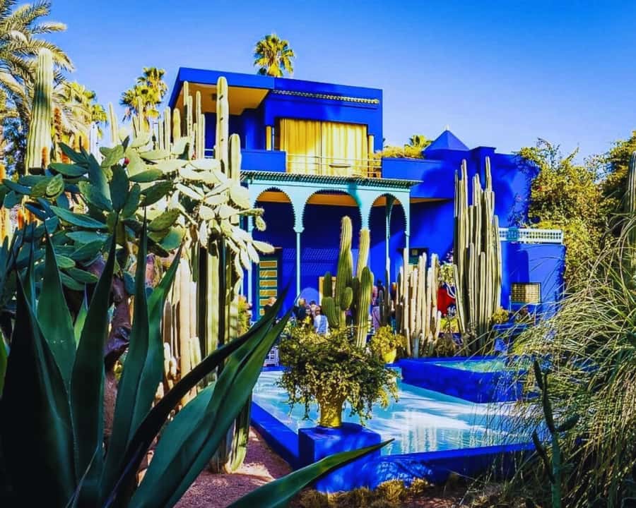 Marrakech: Majorelle & Menara Garden Tour and Carriage Ride - Majorelle Garden: the main reason to book