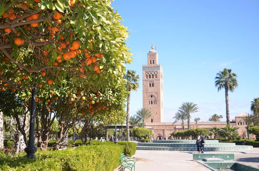 Marrakech: Monuments, Souks and Medina Guided Walking Tour - Walking the Medina without losing your bearings