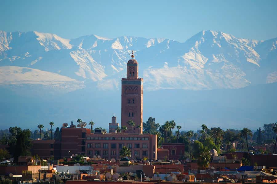Marrakech: Moroccan Cooking Class with Amazing Local Chef! - A Four-Hour Introduction to Moroccan Home Cooking