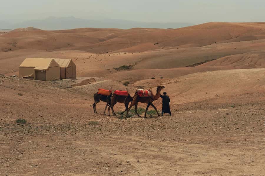 Marrakech/Ouarzazate: 2-Day Desert with Camel, 4x4 & Meals - A fast route from Marrakech to the Zagora desert