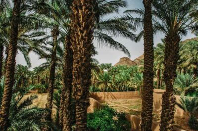 Marrakech/Ouarzazate: 2-Day Desert with Camel, 4×4 & Meals
