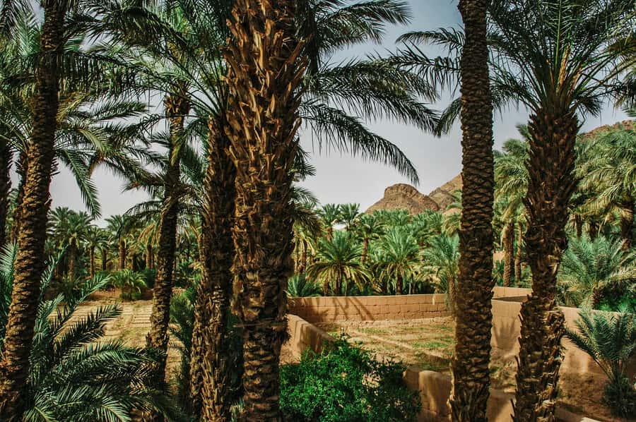 Marrakech/Ouarzazate: 2-Day Desert with Camel, 4x4 & Meals - Ait Ben Haddou, the first major stop