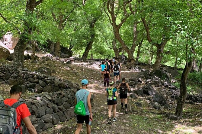 Marrakech: Ourika Valley, Atlas Mountains, Waterfalls & Lunch - How much does this day deliver for $19.38?