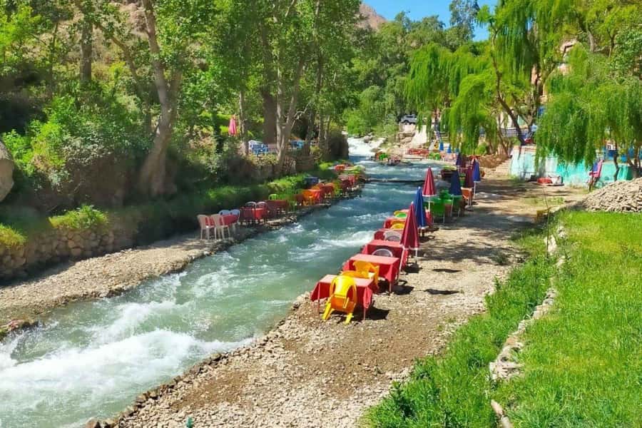 Marrakech: ourika valley Atlas Mountains & Waterfalls Trip - Argan oil and village commerce