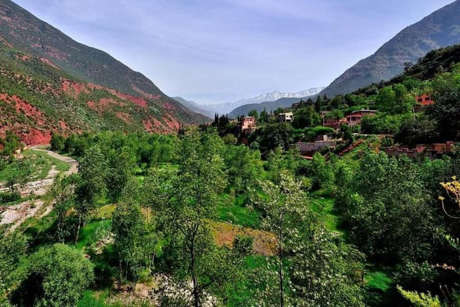 Marrakech: ourika valley lunch & guided hike to waterfalls - What to bring and how to prepare
