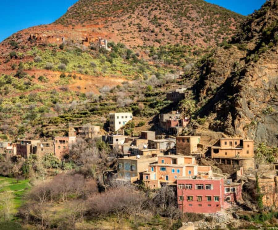 Marrakech: Ourika Valley,Waterfalls, Atlas Luxury Day trip - The argan oil cooperative: useful, but still a shop stop