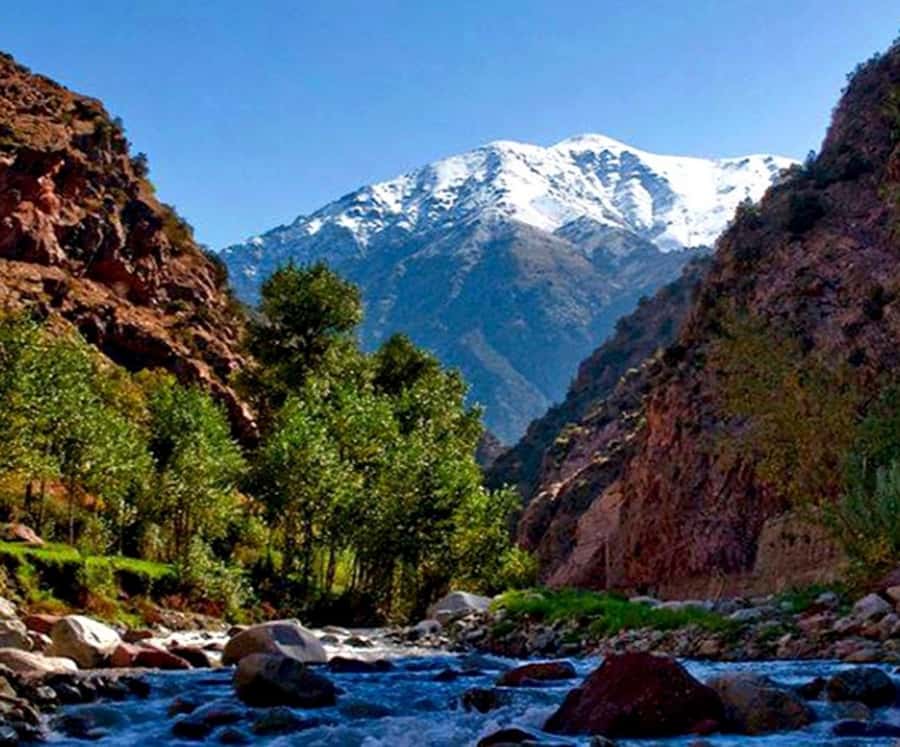 Marrakech: Ourika Valley,Waterfalls, Atlas Luxury Day trip - Practical packing advice for the Ourika Valley
