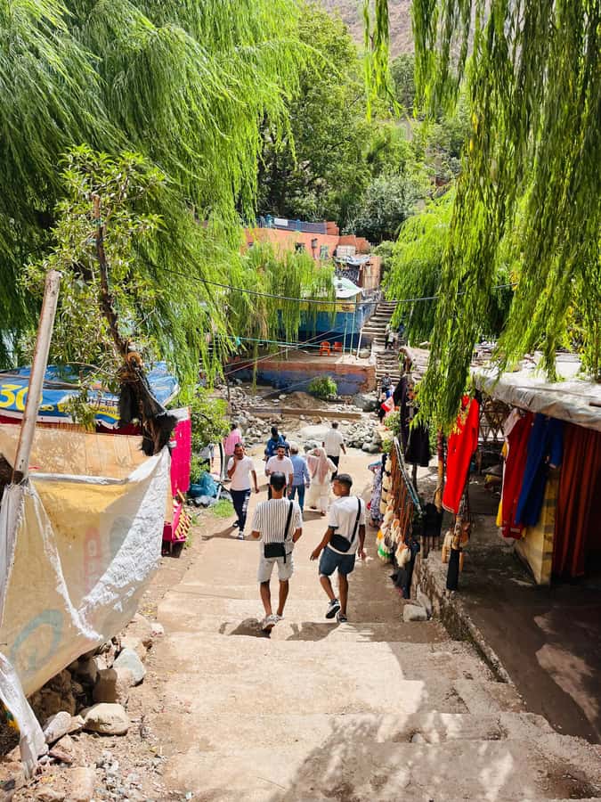 Marrakech: Ourika Valley Waterfalls & guided hike - Who should book this Ourika Valley trip?