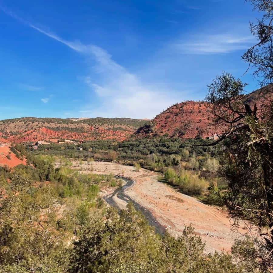 Marrakech: Ourika Valley & Waterfalls Guided Tour with Lunch - What the argan cooperative adds