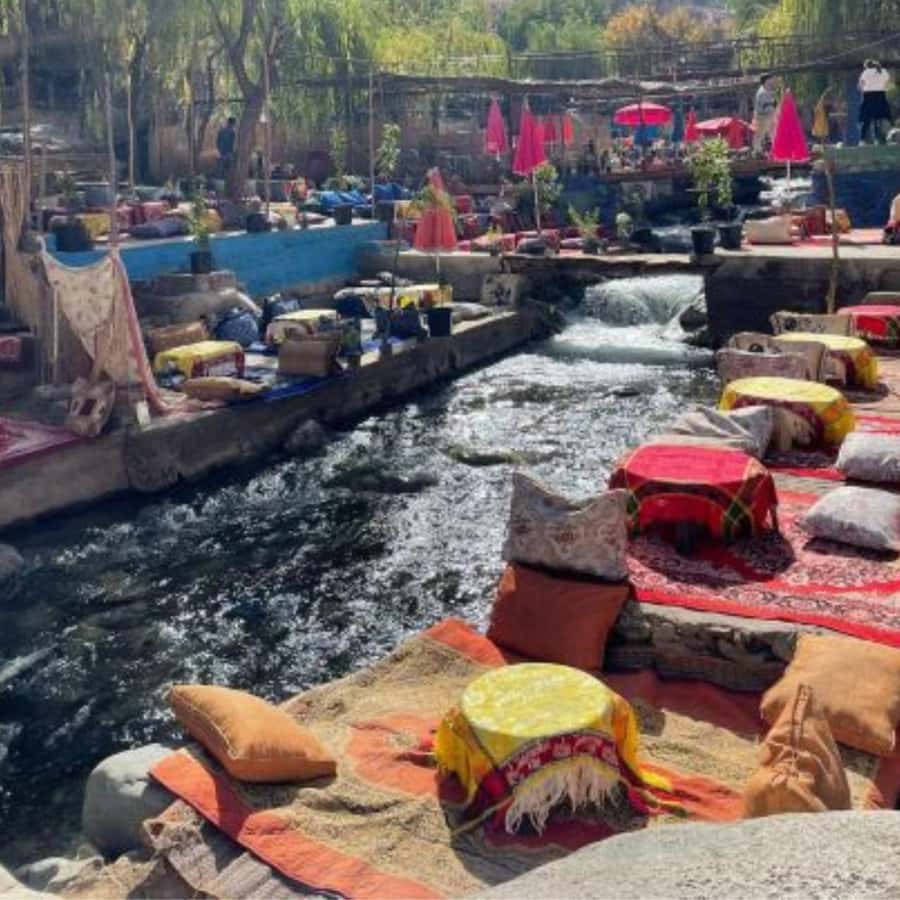 Marrakech: Ourika Valley & Waterfalls Guided Tour with Lunch - Lunch beside the Ourika River